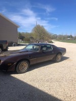 1981 TURBO TRANS AM (SAFETIED)