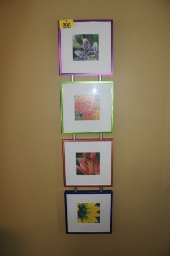 FLOWER PICTURES