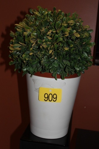 IMITATION PLANT