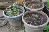 4 - LARGE PLANT POTS