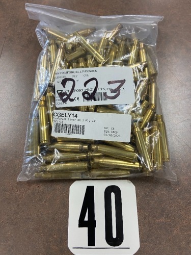 100 - 223 CAL BRASS