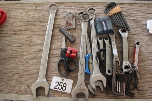 ASSORTMENT OF WRENCHES, ALLEN WRENCHES
