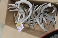 box of antlers