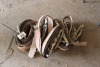 5 - 2" TIE DOWN STRAPS