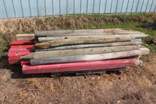 APPROX. 20 USED FENCE POSTS, 9 - USED 4 X 4