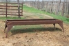 10' STEEL TROUGH