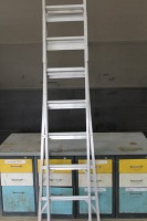 7' EXTENDABLE LADDER