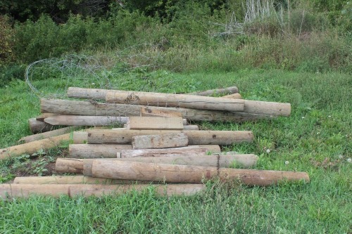 ASSORTMENT OF TREATED POSTS