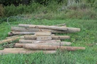 ASSORTMENT OF TREATED POSTS