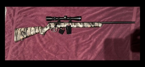 SAVAGE 93R17 17HMR W/ 10 & 5 SHOT CLIP
