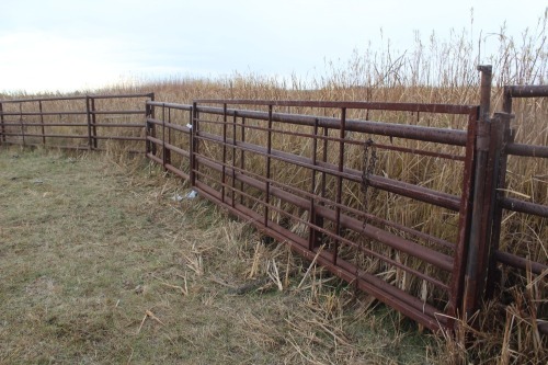 30' FREE STAND PANEL 3" - 5 BAR W/ 16' 360 GATE