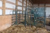 HI HOG MATERNITY PEN W/ SELF CATCH HEADGATE