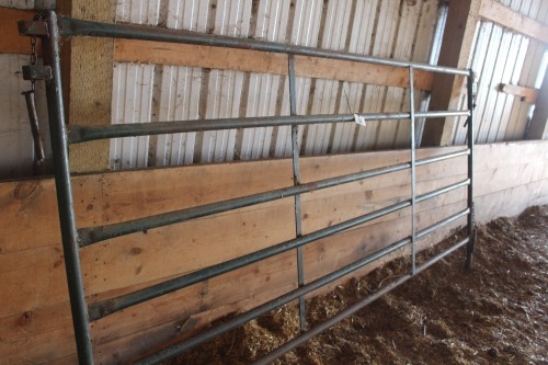 10' HI HOG PANEL - 6 BAR