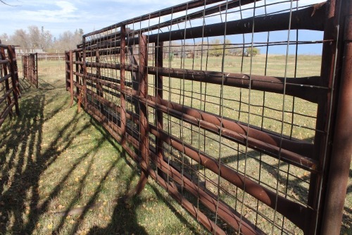 30' FREE STAND PANEL 2 7/8" - 5 BAR W/ 2 -16' WIRE GATES, 1 - 14' SQUARE TUBING GATE
