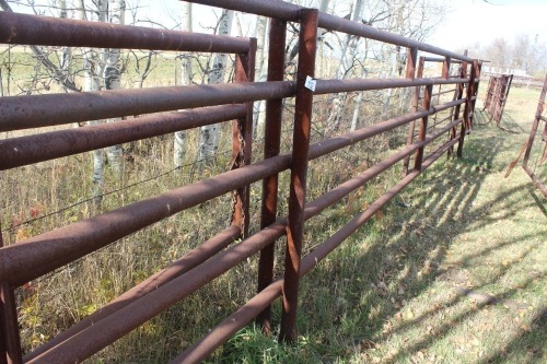 30' FREE STAND PANEL 2 3/8" - 5 BAR W/ 14' 360 GATE