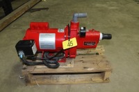 RED LION 110V 1/2 HP PUMP