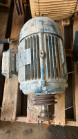 Weg electric motor
