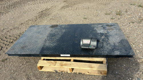 10 ton platform scale with digital readout