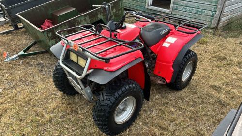 Yamaha Timberwolf quad