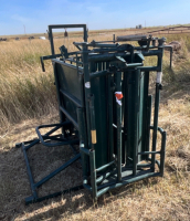 Hi hog calf shoot and tipping table