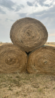 50 bales hay