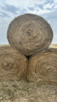 50 bales hay