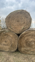 50 bales hay