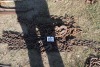 Approx. 16' chain & 24' chain