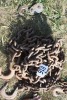 Approx. 20' of HD chain