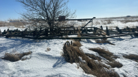 JD 42ft deep tillage w/degleman harrows
