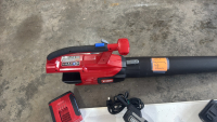 Toro leaf blower cordless