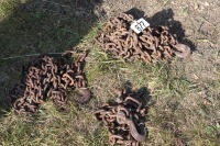 3 lengths of chain w/ hooks