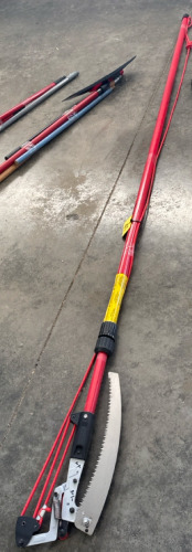 Extendable tree saw