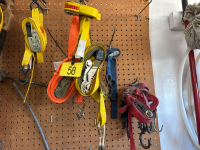 Various sizes tie downs