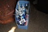 assorted window & door caulk, roof patch