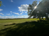 Acreage sw-26-7-27 RM of pipestone - 13