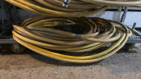 Assortment of garden hose