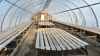 High profile 60&rsquo;x20&rsquo; greenhouse - 3