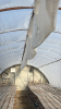 Low profile 60ft x 16 wide greenhouse - 6