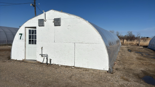 High profile 60x 20wide greenhouse