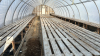 High profile 60x 20wide greenhouse - 3