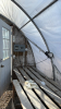 High profile 60x 20wide greenhouse - 5