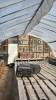 High profile 60ft x 20 greenhouse - 4