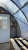 High profile 60ft x 20 greenhouse - 6