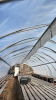 High profile 60ft x 20 greenhouse - 7
