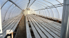 High profile 60ft x 20 wide greenhouse - 3