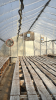 High profile 60ft x 20 wide greenhouse - 4