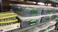 Assortment of seed tags