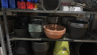 Assortment of planters