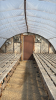 Low profile 60ft x 16 wide greenhouse - 4